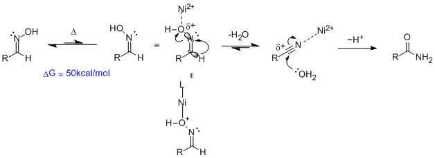 oxime isomerization.bmp - 420kB