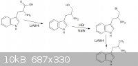 tryptophan to alpha methyl tryptamine 2.png - 10kB