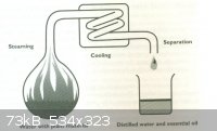 steam-distillation.jpg - 73kB