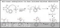 new carboxylation method bromo.JPG - 30kB