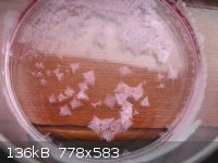 NH4Cl crystallization.JPG - 136kB