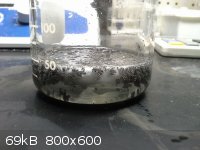 bismuth precipitation.jpg - 69kB