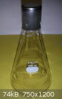 DSCN0946   ferm flask small.JPG - 74kB