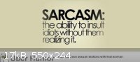 sarcasm-often-wasted-on-id.jpg - 17kB