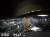 Gold Tube Capillary.jpg - 58kB