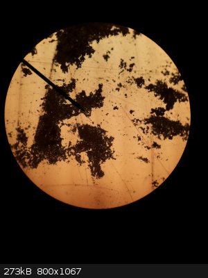 Tetrolite at 100X.jpg - 273kB