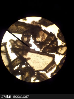 Flake Propellant Microscope Picture.jpg - 278kB