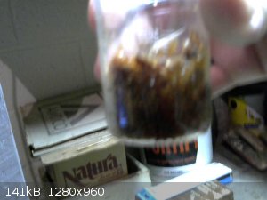 Crude product from extraction of reaction mixture.jpg - 141kB