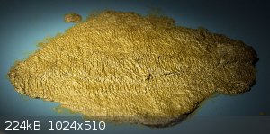 Isopicramic recrystallized ethanol.jpg - 224kB