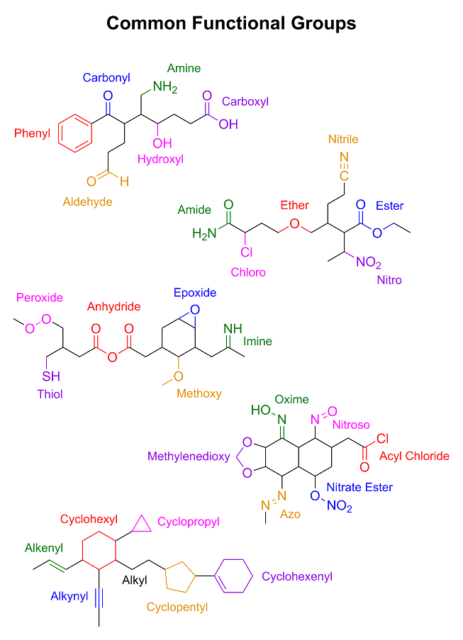 functional groups 2.bmp - 1.7MB