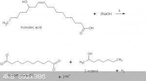 sebacic acid and 2-octanol from castor oil.gif - 4kB
