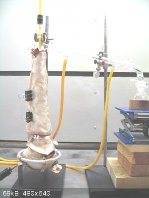 fractional distillation of 2-octanol.jpg - 69kB