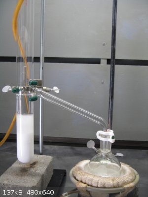 succinic acid extraction bare RBF.jpg - 137kB