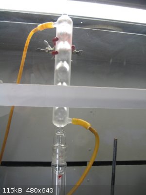 succincic acid extractioin Allihn condenser.jpg - 115kB