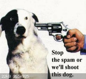 Shoot The Dog.jpg - 22kB