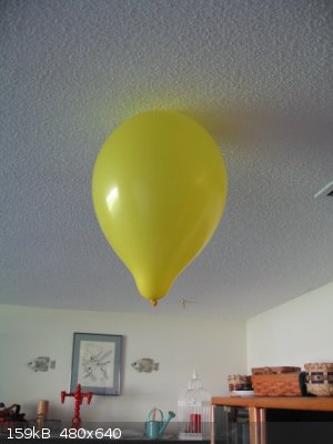 H2 filled balloon.jpg - 159kB