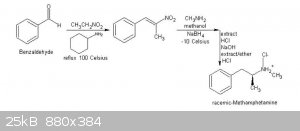 Nitroalkenes and redutive amination with methylamine and borohydride.JPG - 25kB