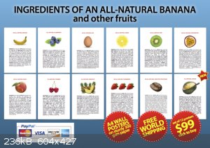 ingredients-of-an-all-natural-banana-and-other-fruits-set-99.png - 236kB