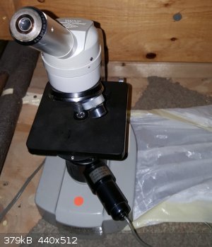 pic8 microscope.png - 379kB