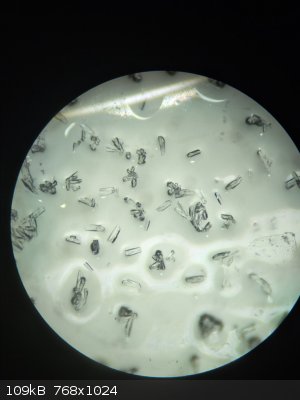 sodium_crystalls.jpg - 109kB