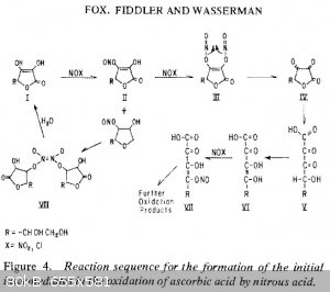 Ascorbic nitrous intermediates Wasserman - Copy.jpg - 80kB