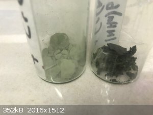 4 precipitate (L) and filtrate (r).jpg - 352kB