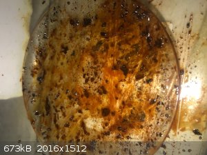 3 Hygroscopic solid wet after a few minutes.jpg - 673kB