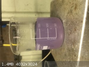 1 Neodymium sulfate solution.jpg - 1.4MB