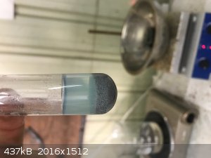 7 with silver nitrate fluoro light.jpg - 437kB