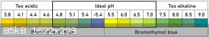pH scale.jpg - 85kB