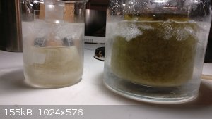 pb-rec1-1.jpg - 155kB