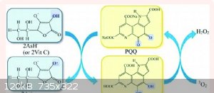 Inter-conversion-of-PQQH2-to-PQQ-under-the-catalysis-of-Vit-C-42.png - 120kB
