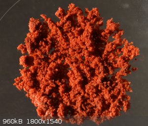 ferrochloride2.JPG - 960kB