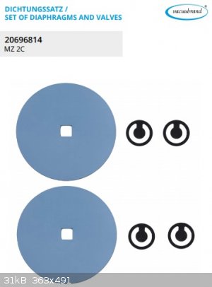 MZ 2C Replacement diaphragms and valves.jpg - 31kB