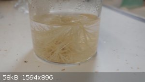 anthranilic-acid-h2o-recryst-2.jpeg - 58kB
