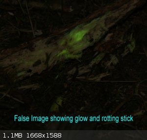 glowANDstick_cropped.jpg - 1.1MB