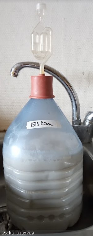 Trp_fermentation1.png - 356kB
