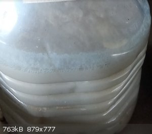 Trp_fermentation2.png - 763kB