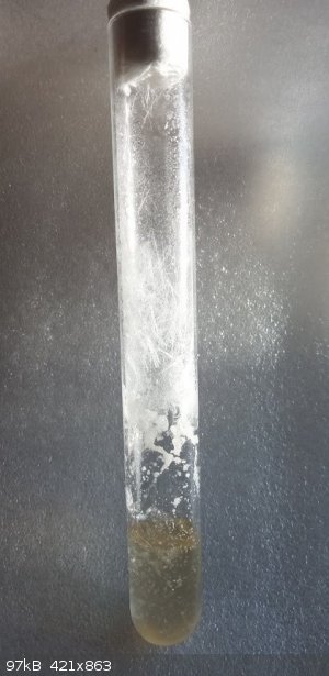 IMG_20240410_075517.jpg - 97kB