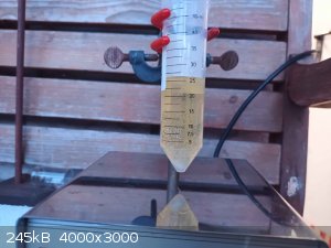 20250131_172543.jpeg - 245kB