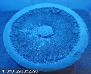 IMG_20250804_190504.jpg - 4.3MB