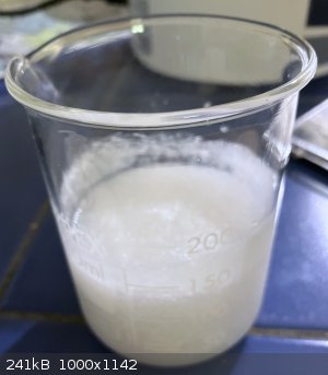 IMG_0292.jpeg - 241kB