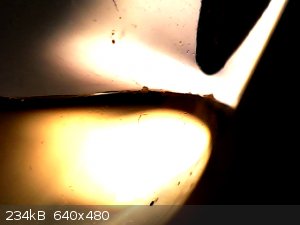 vlcsnap-2026-01-31-16h58m31s915.png - 234kB