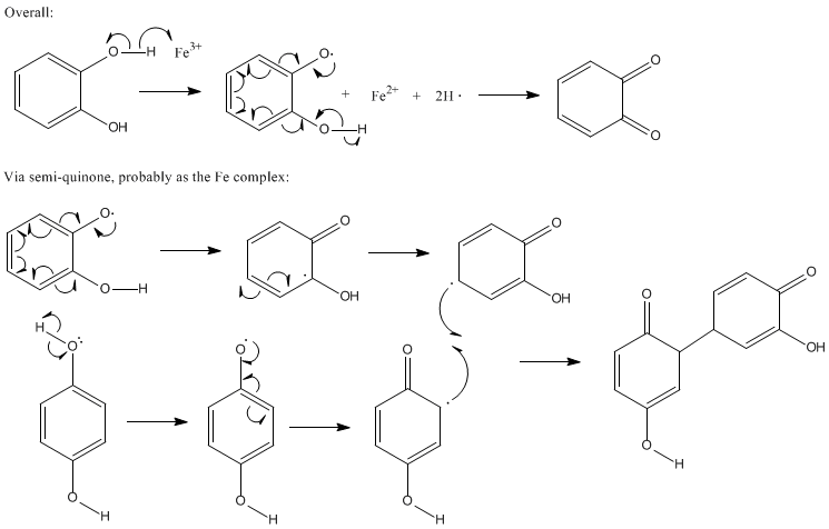 o phenolic oxidation_02_labels.gif - 14kB