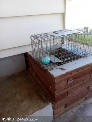 IMG_20240711_112608.jpg - 454kB