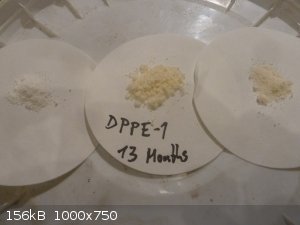 DPPE-1 after 13 month storage.jpg - 156kB