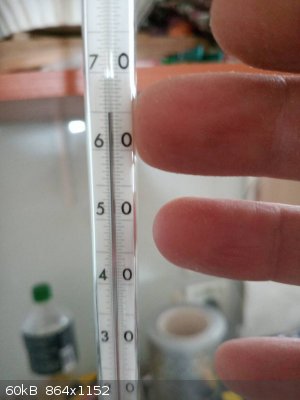 IMG_20250309_130239_8.jpg - 60kB