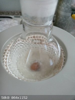 IMG_20250309_133746_6.jpg - 58kB