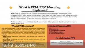 PPM-Meaning.jpeg - 437kB