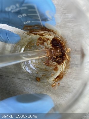 IMG_2547.JPEG - 594kB